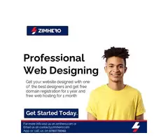 Professional Web Designing web design zimbabwe