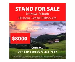 Mazowe Residential Stand