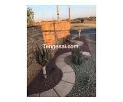 Landscaping and driveways