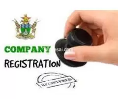 COMPANY REGISTRATION ; TAXES ZIMBABWE, AMAZING PERSPECTIVES (PRIVATE) LIMITED
