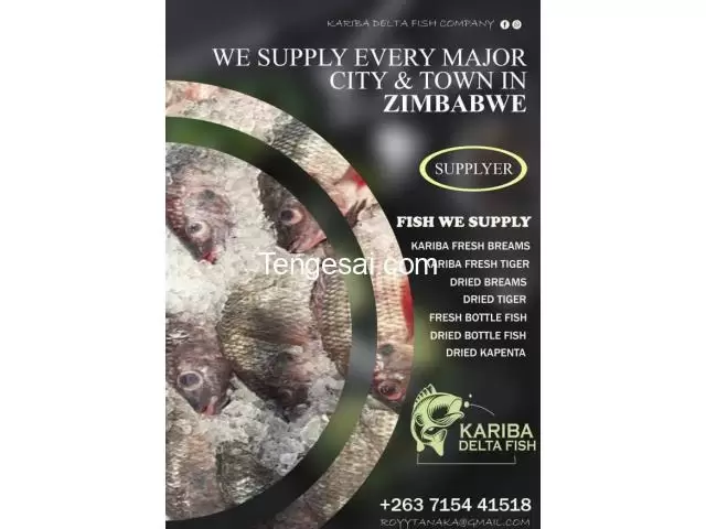 we supply fish in Zimbabwe - 1/10