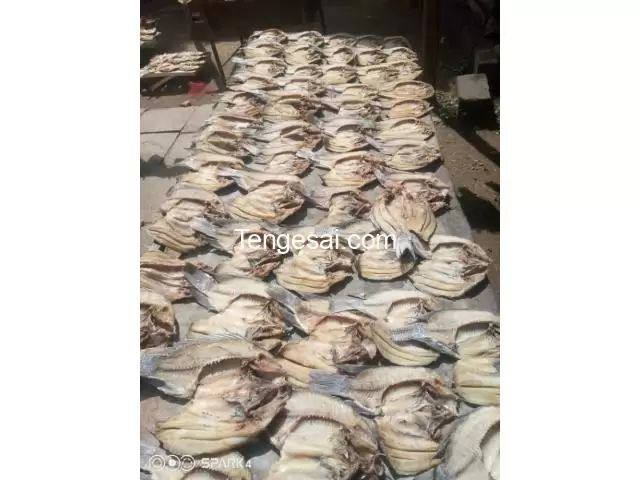 we supply fish in Zimbabwe - 8/10